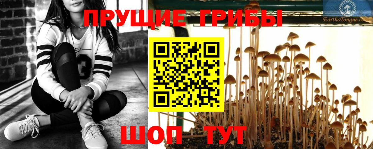 Губкин  Галлюциногенные грибы MAGIC MUSHROOMS  что такое наркотик  Вход с VPN 
